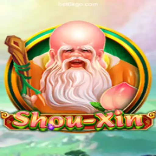 Exploring ShouXin: An Innovative Game Experience
